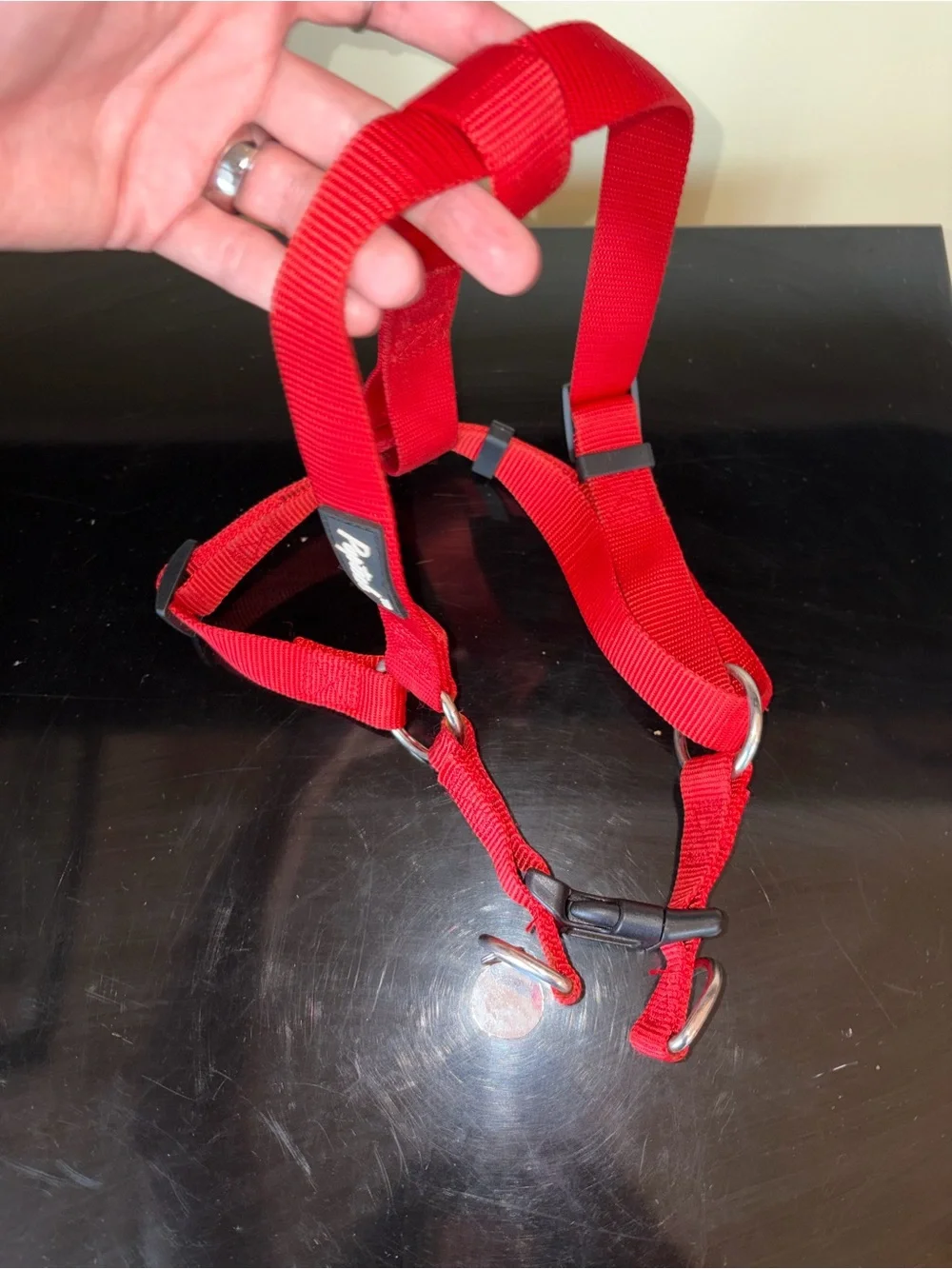 Red Adjustable Dog Harness with Paw Charm